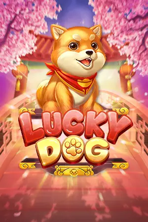 brazil24h-LuckyDog